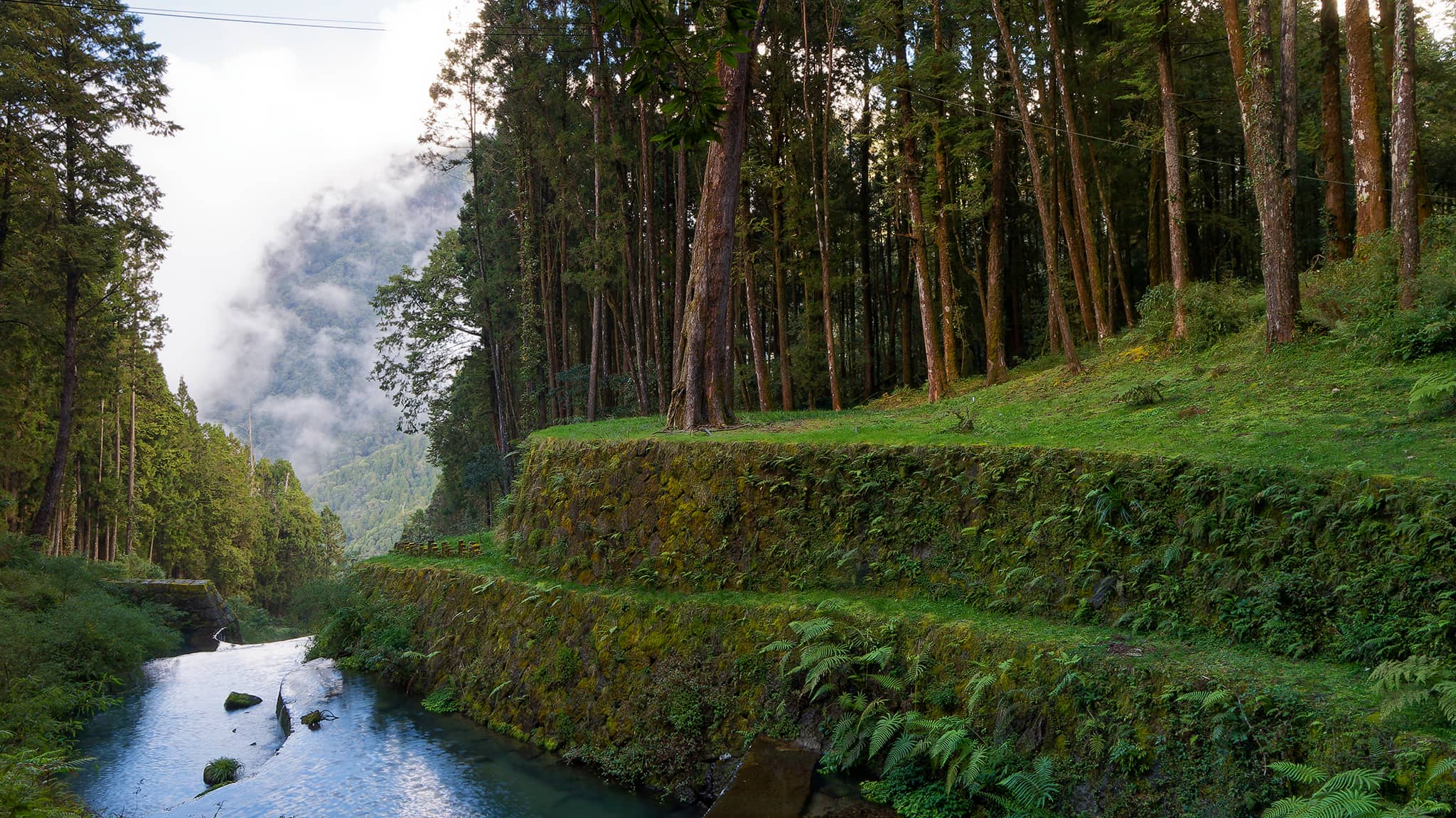 05 - Alishan (51).jpg